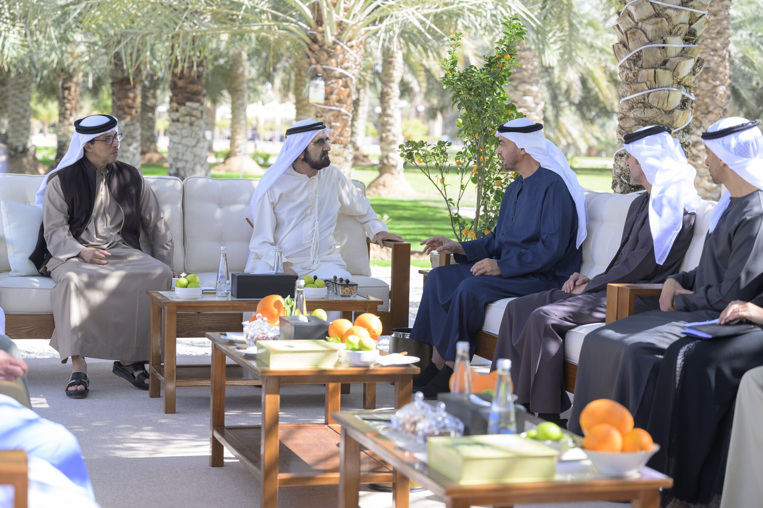  UAE President, Mohammed bin Rashid discuss national affairs