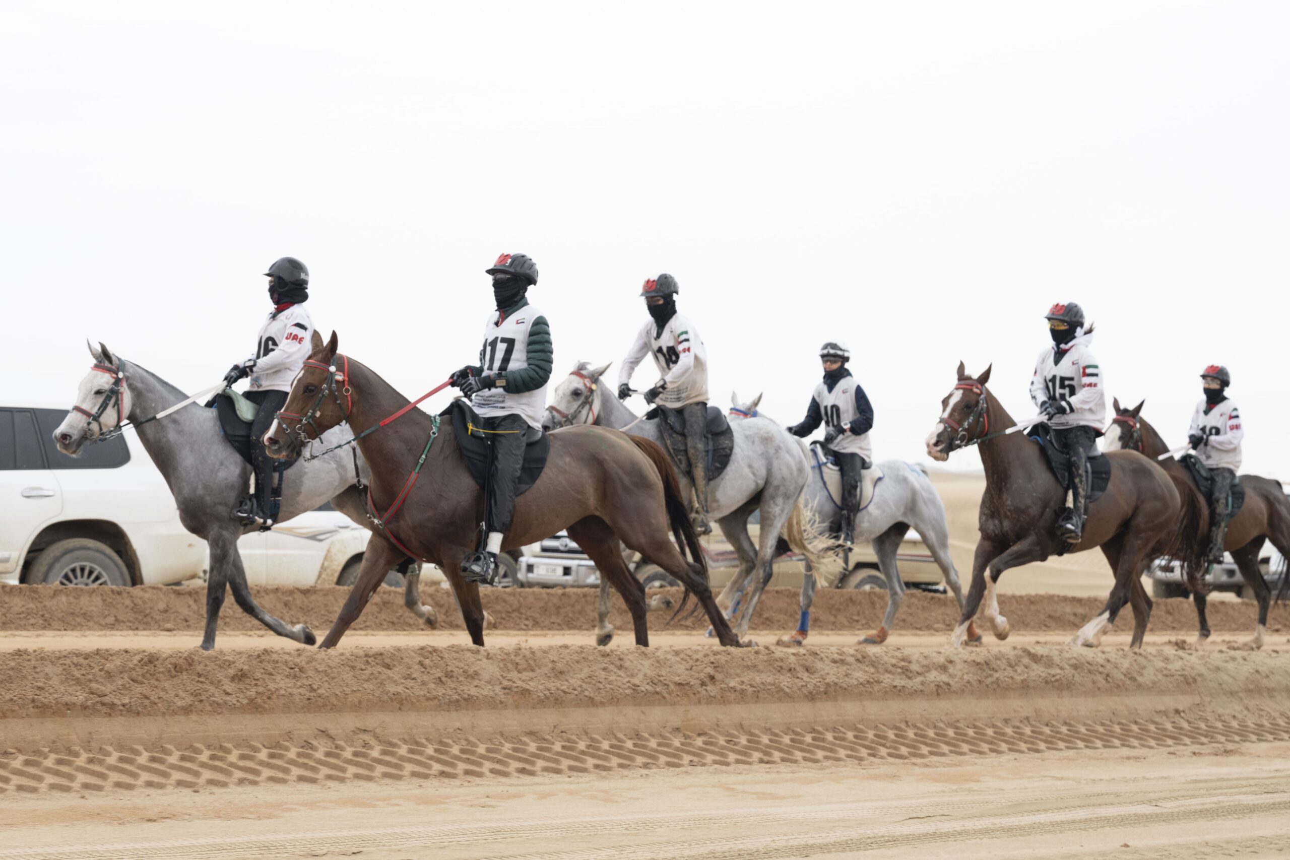  UAE President’s Endurance Cup to commence tomorrow in Al Wathba