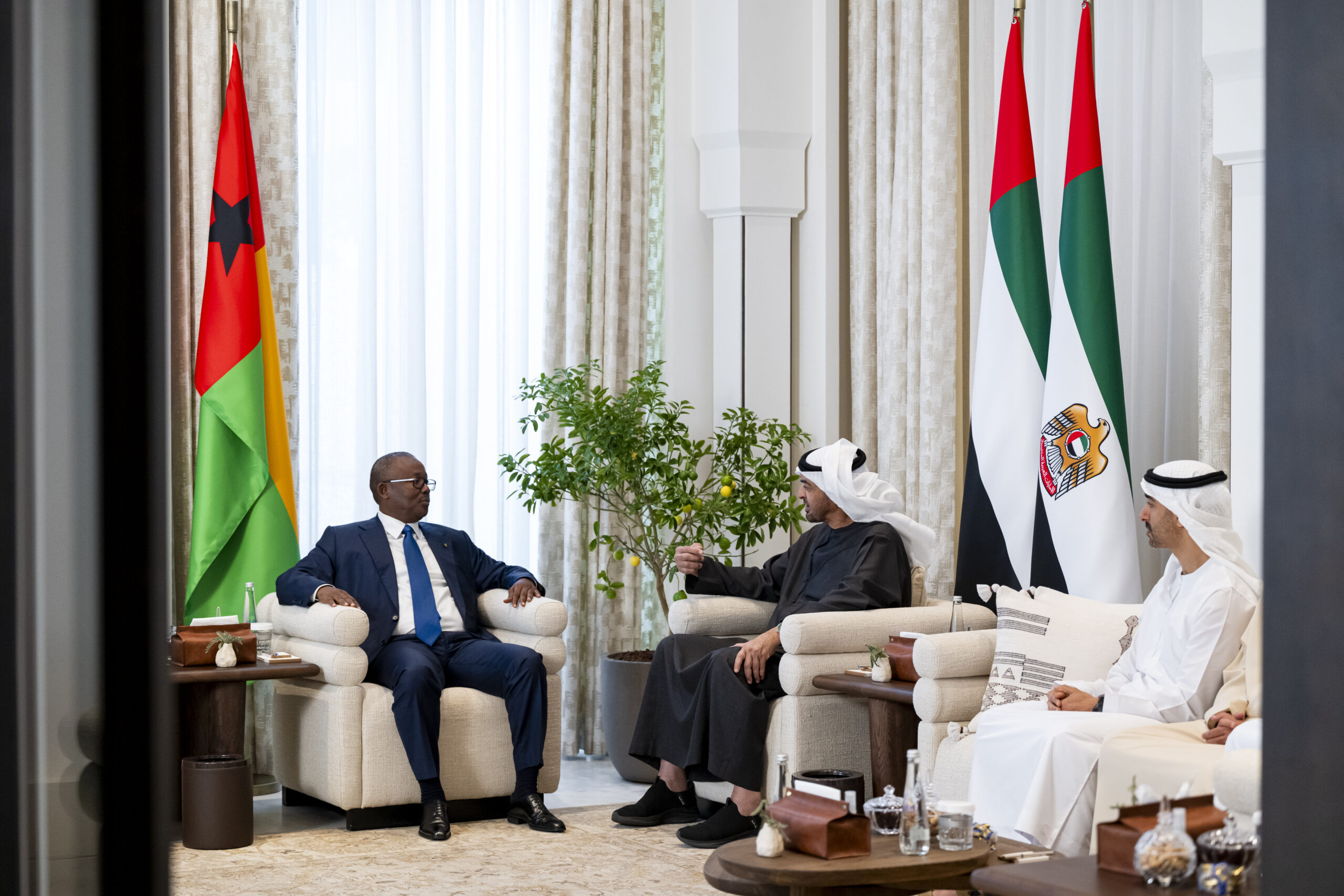  Presidents of UAE, Guinea-Bissau discuss bilateral relations, exchange honours