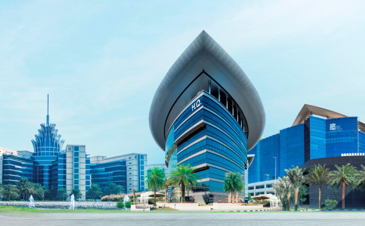  Ahmed bin Saeed: DIEZ achieves exceptional growth in 2024 financial results, strengthening its contribution to national economy