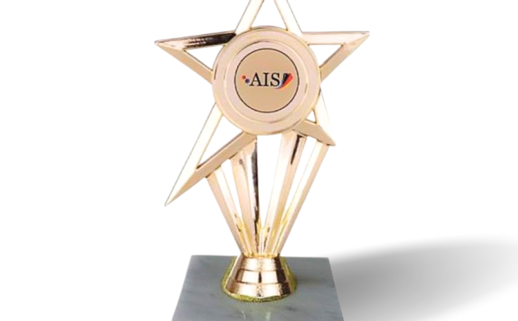 Gold Star Recognition Trophy – 18.5 cm