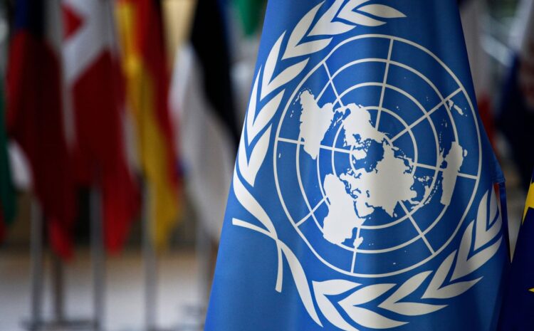  UN, partners unveil hyper-prioritised aid appeal amid brutal funding cuts 
